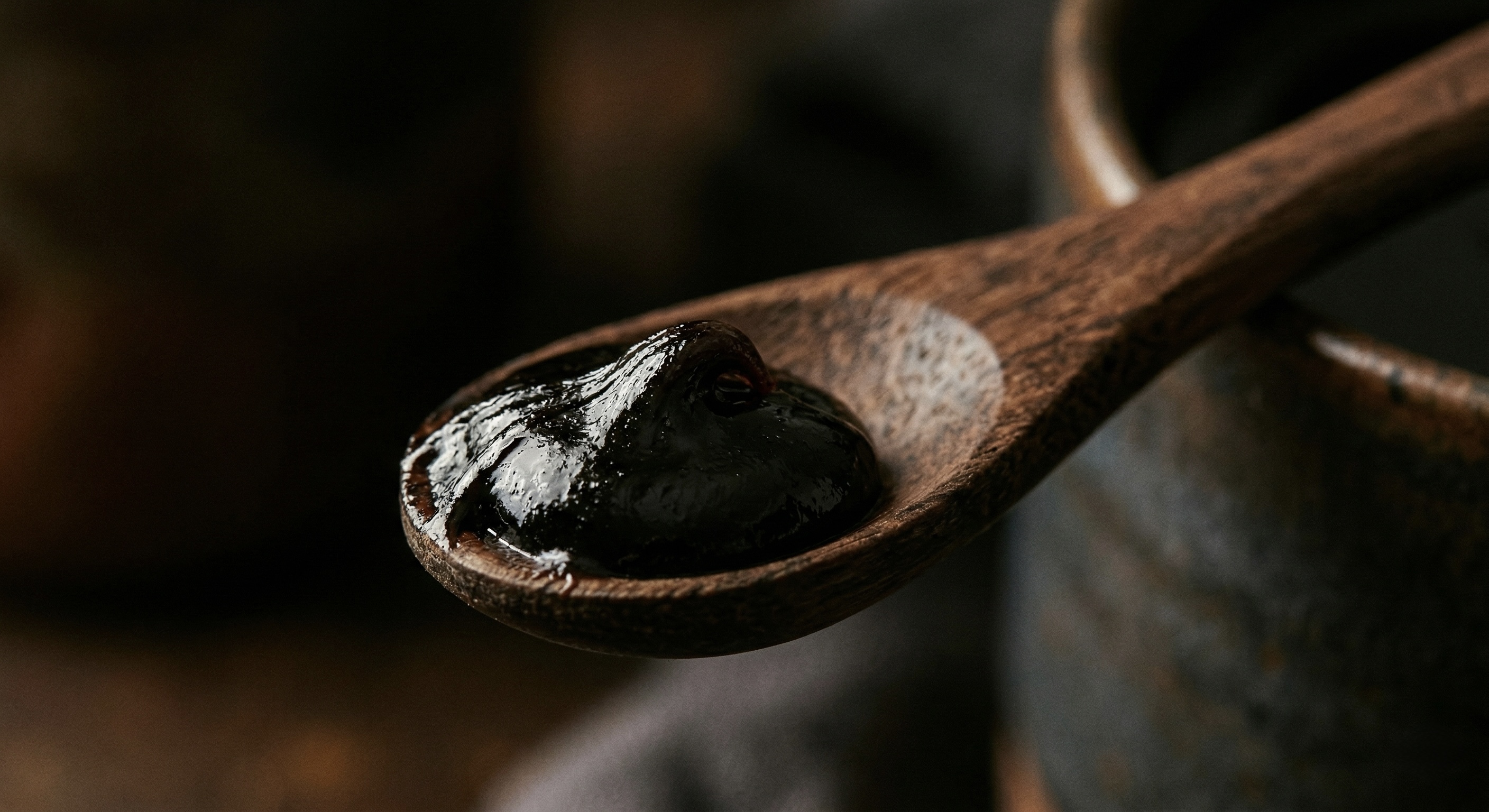 Resina de shilajit Powernax close up